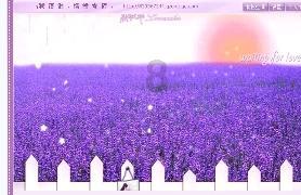 请勿打扰